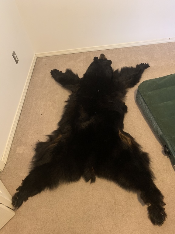 Alaska's List Furs & Trophies For Sale Blac