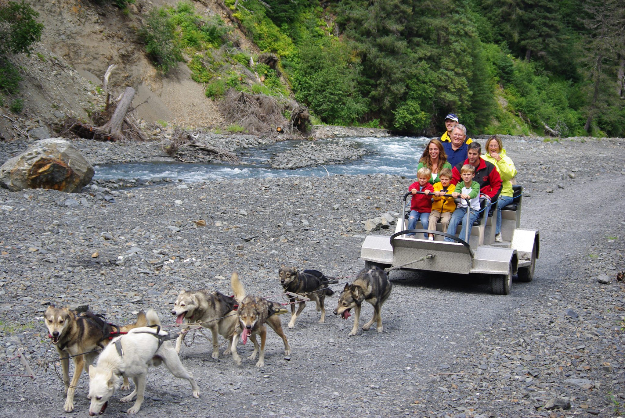 Seward, Alaska Dog Sledding Day Tour; Meet the Iditarod's Founder
