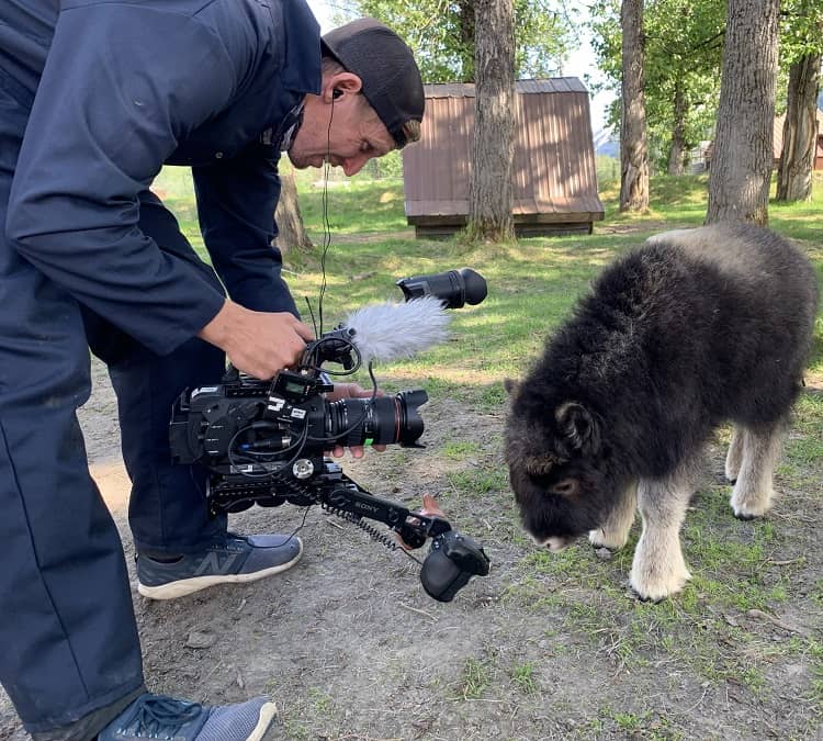 Alaska Animal Rescue Season 2 Alaska Wildlife Conservation Center