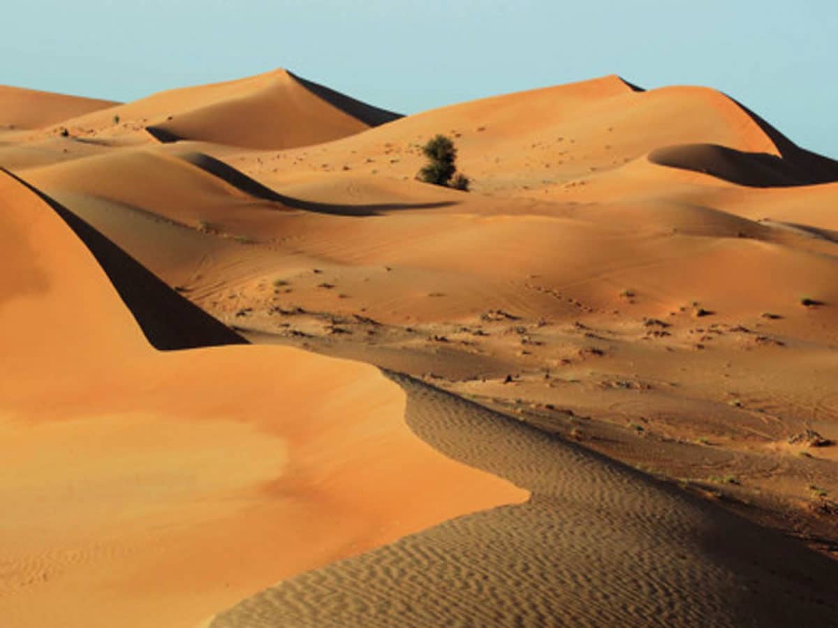التخييم في الامارات
