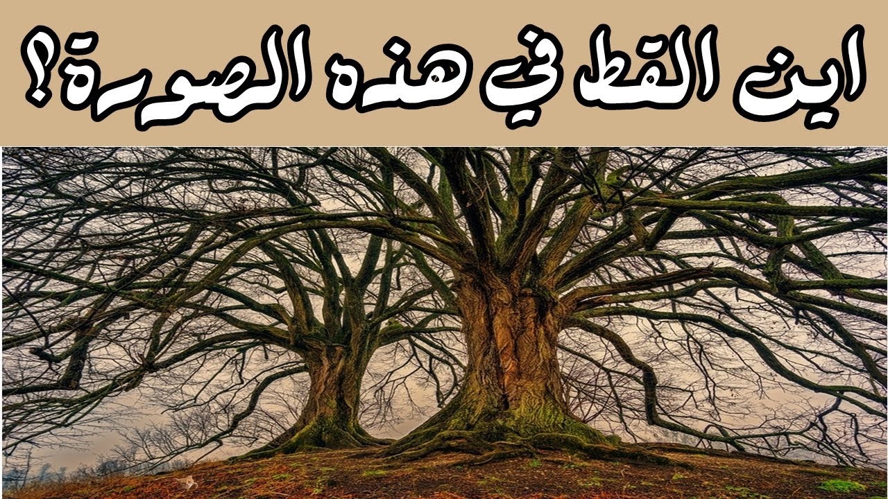 الغاز حسابية بالصور وحلها