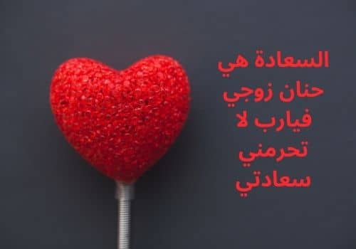 خلفيات عن الزوج الحنون