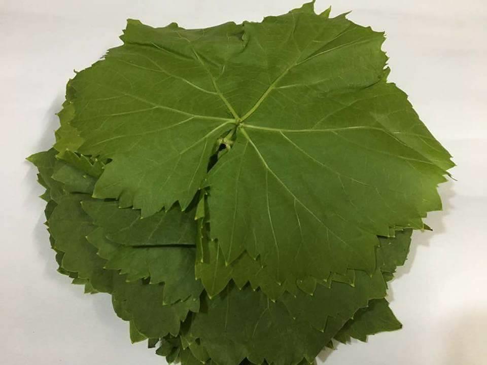 تفسير حلم ورق العنب للحامل