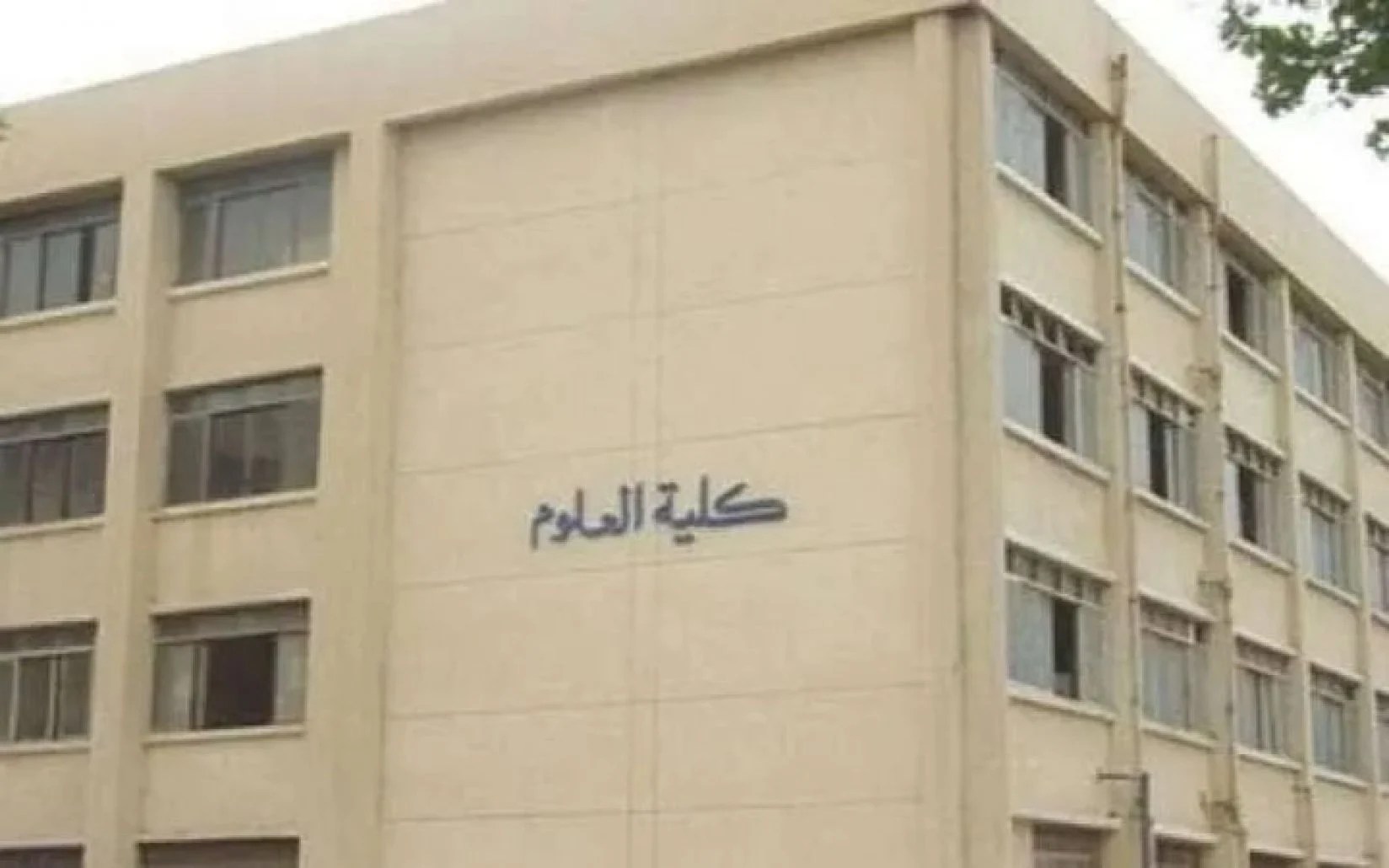 كلية العلوم في مصر
