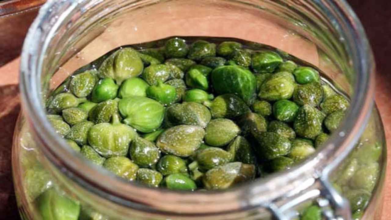 فوائد عشبة الكبار وطريقة استخدامها