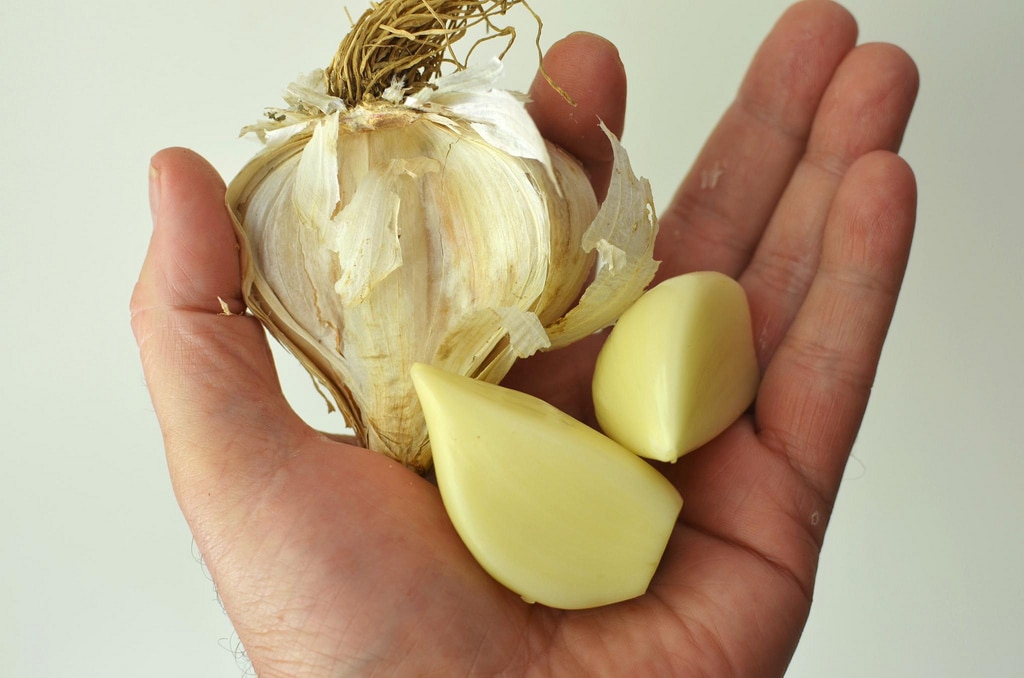 مشروب بحرف الثاء ث