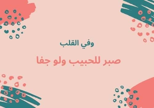 وفي القلب صبر للحبيب ولو جفا.