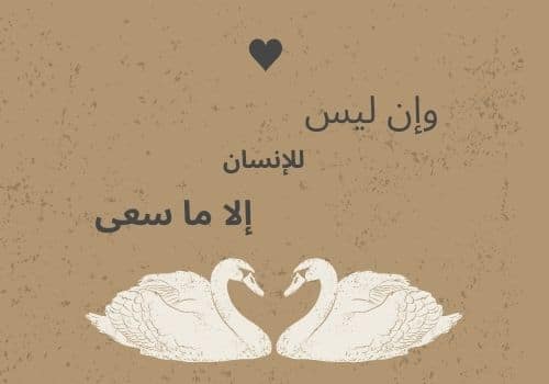 كلام للنشر على الفيس بوك