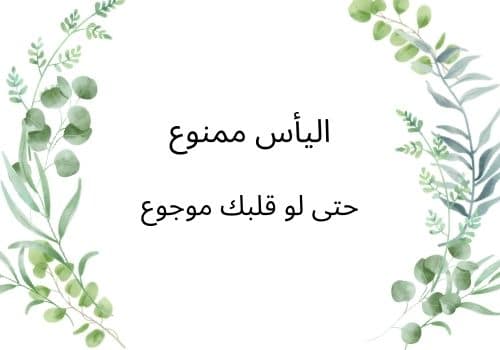 كلام فيس بوك جميل