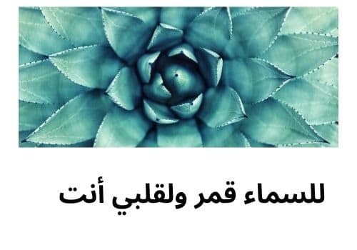 صور حالات واتس اب