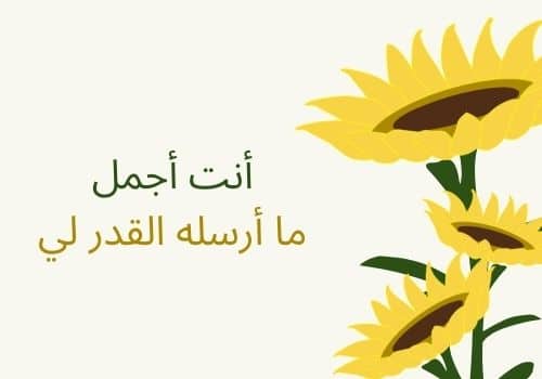 حالات واتس اب قصيرة