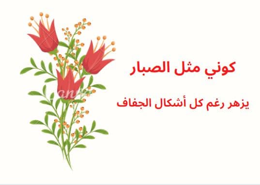 كوني مثل الصبار يزهر رغم كل أشكال الجفاف.