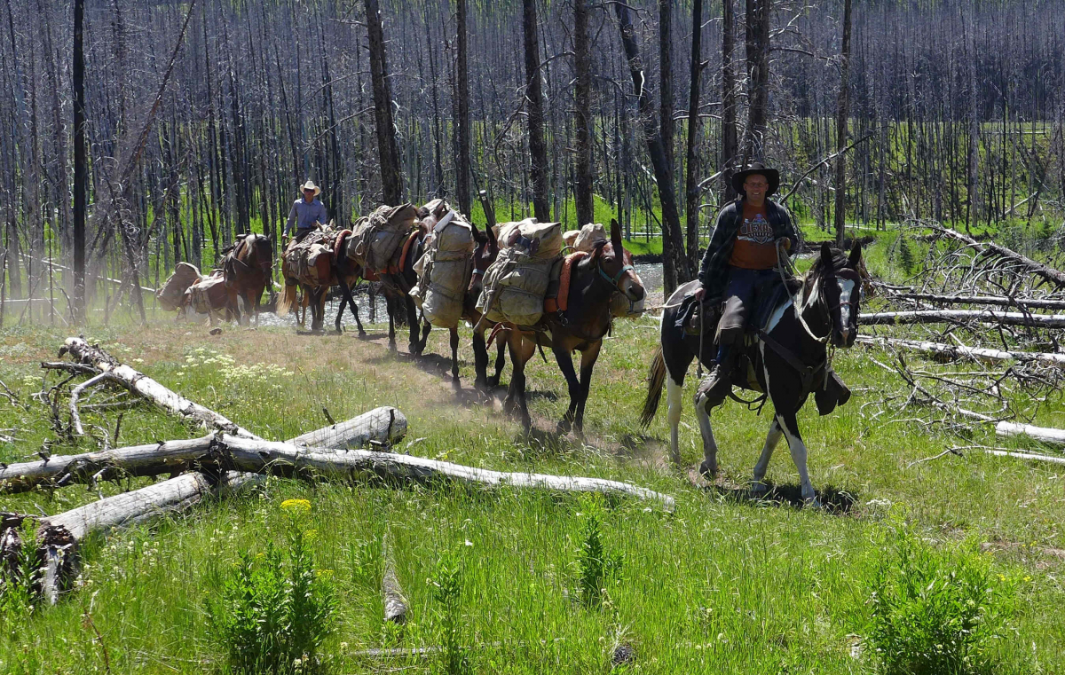Horse Packing and Fly Fishing Trip Prices and Schedules A Lazy H