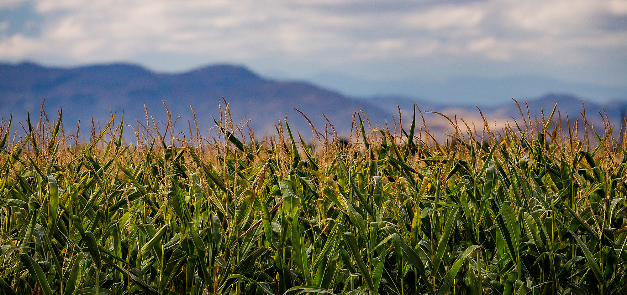 Important Regions Of Colorado American Land Brokers