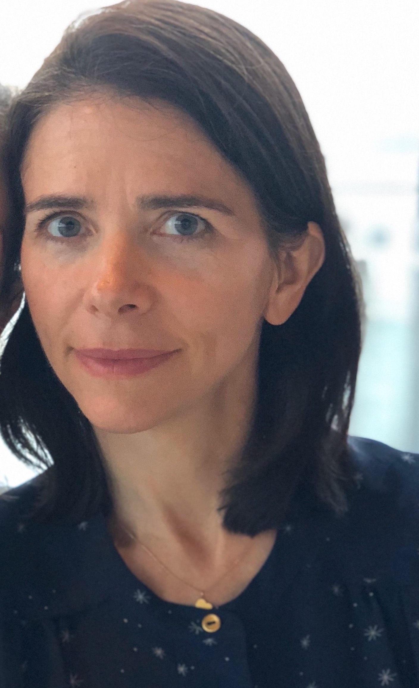 Cynthia Young The Abraham Lincoln Brigade Archives