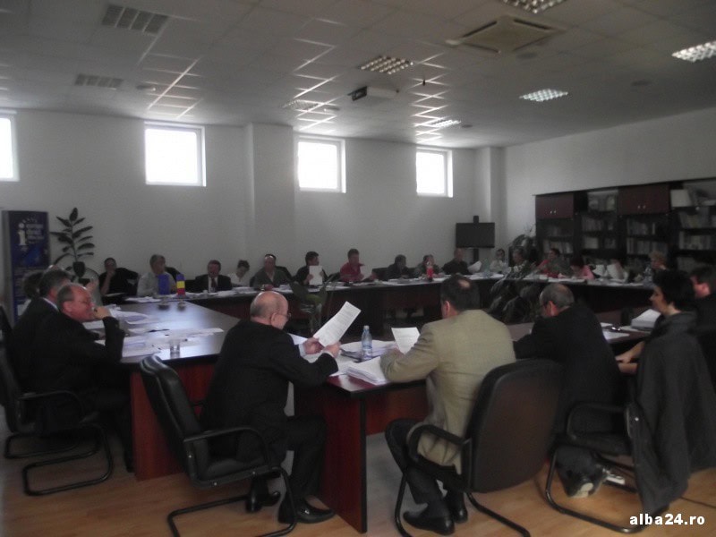 Cereri de sprijin financiar aprobate de Consiliul Local Alba Iulia