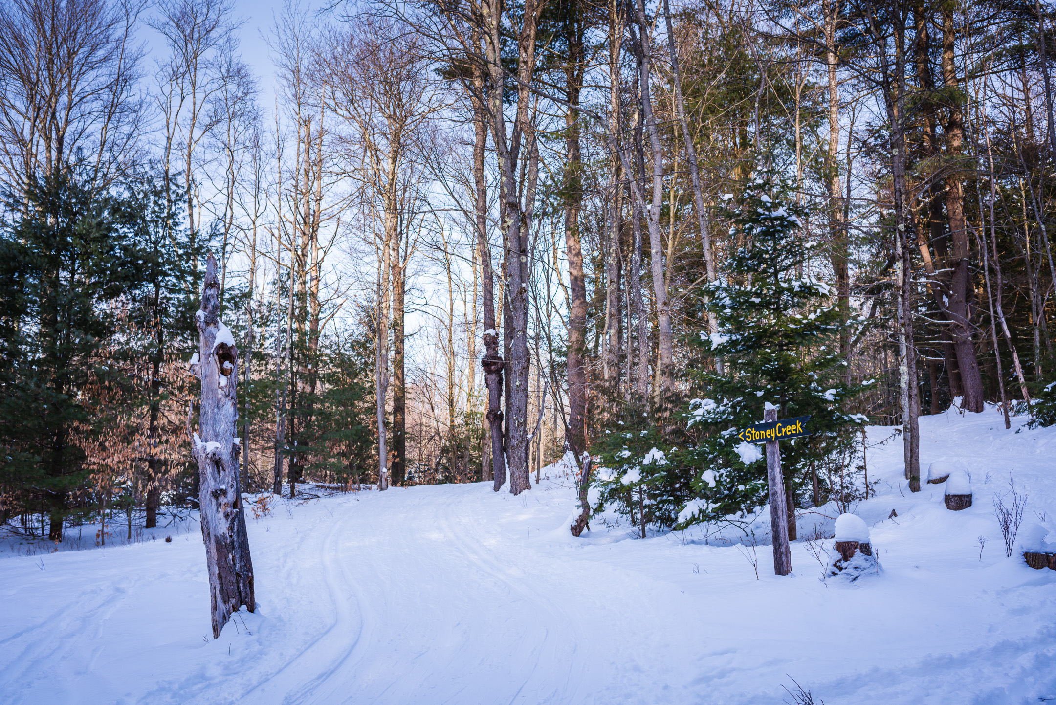 Cross Country Skiing Near Me Albany New York