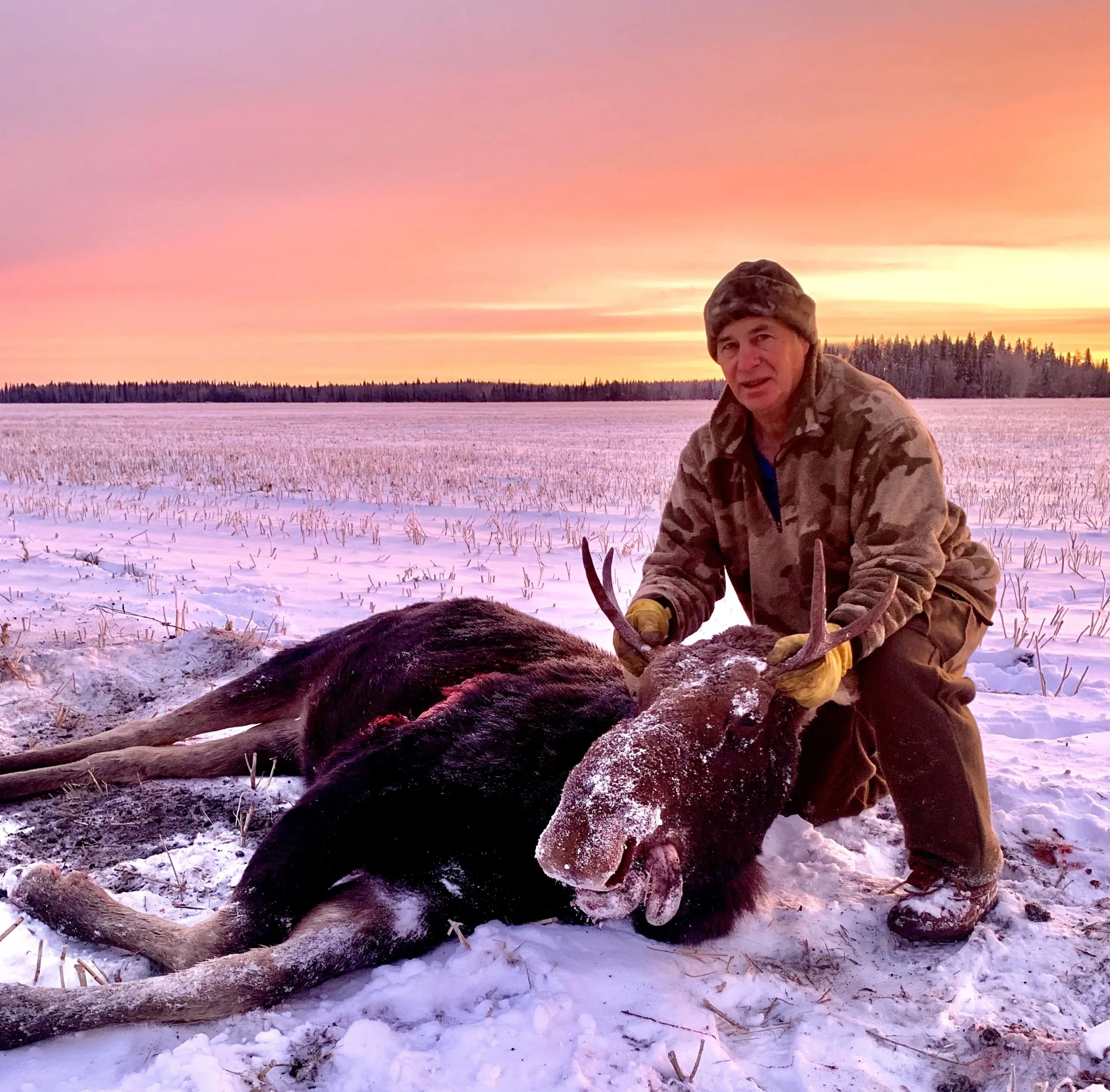 Moose Hunt Alberta Bush Adventures