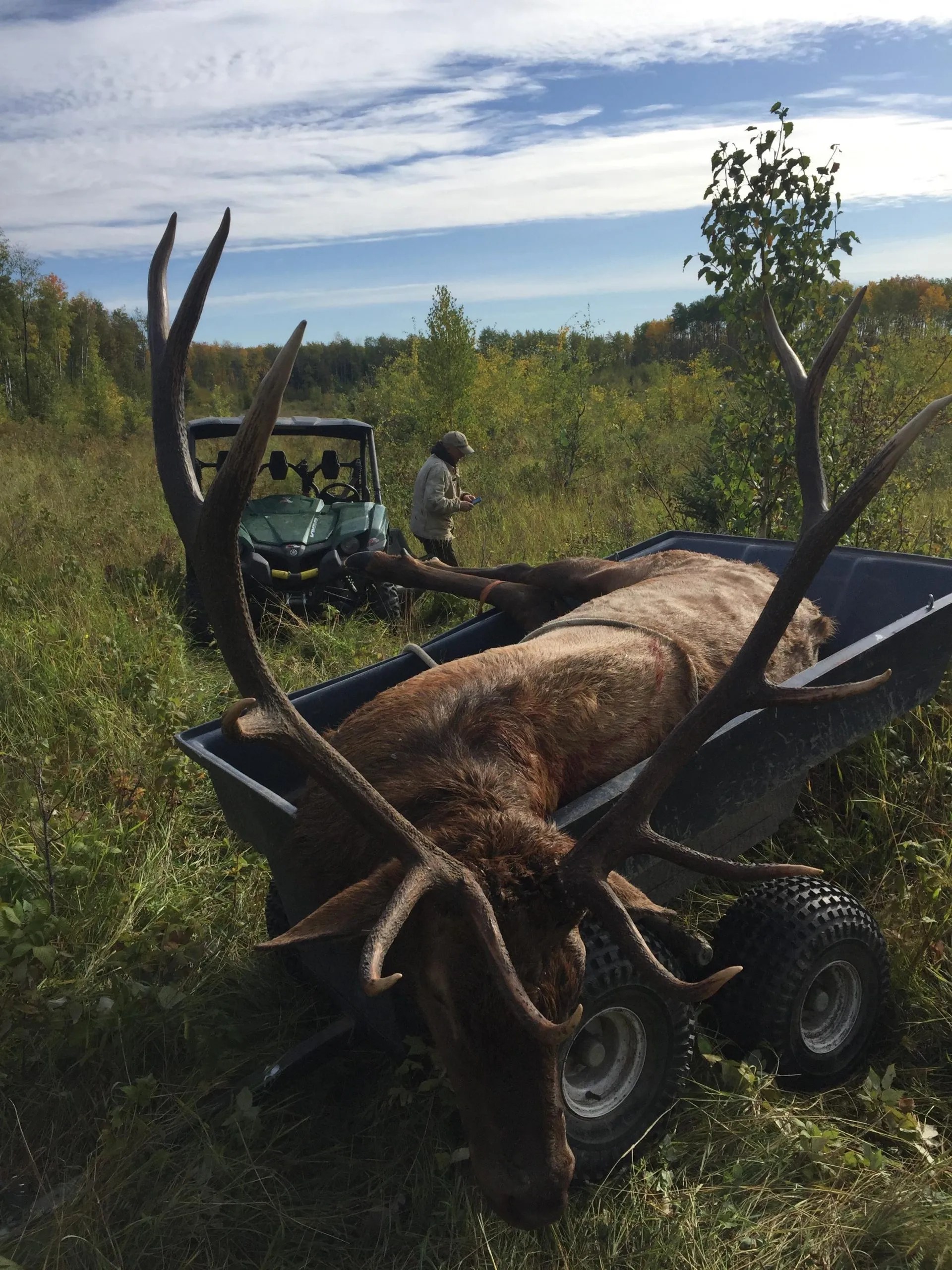 Elk Hunt Alberta Bush Adventures