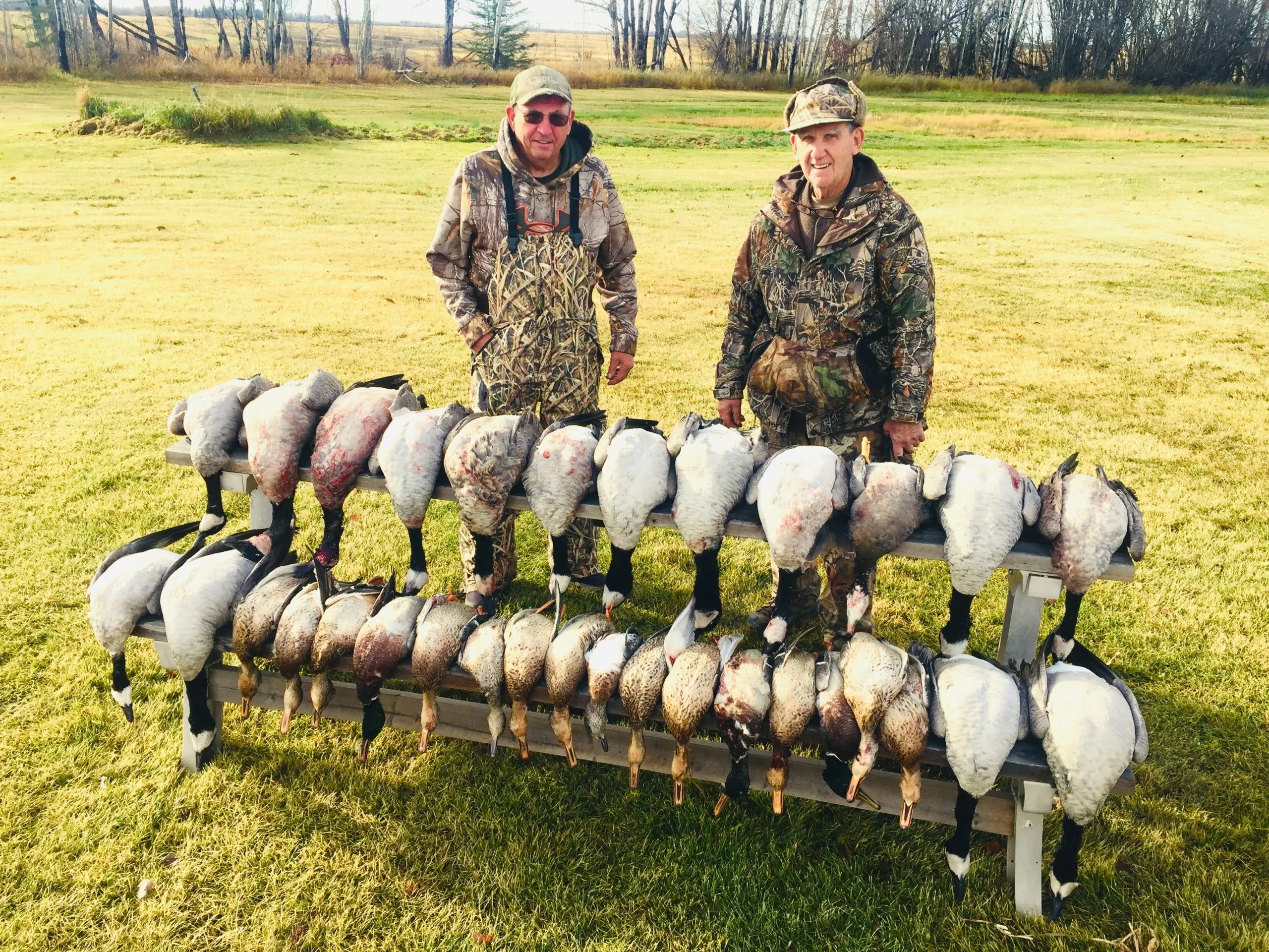 Waterfowl Hunt Alberta Bush Adventures