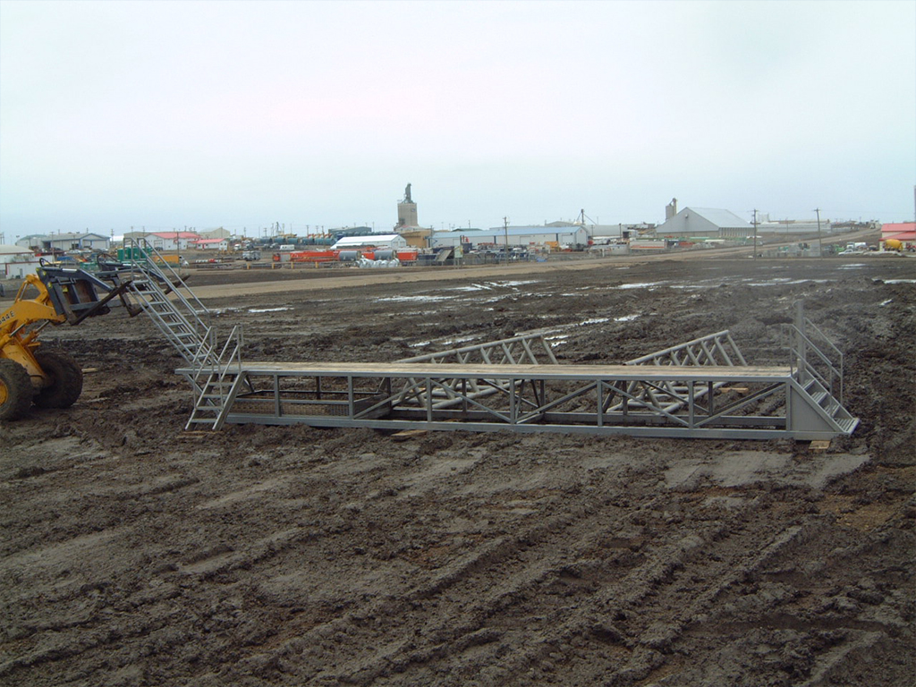 Cat Walk Alberta Gold