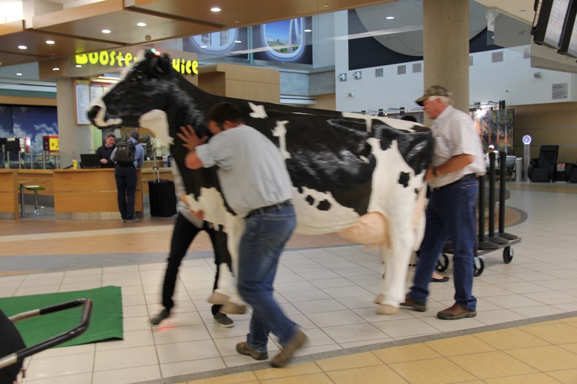 Picture6 Alberta Milk