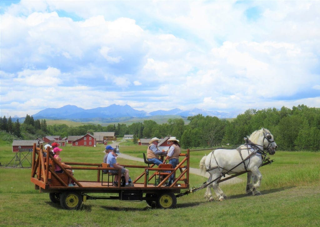 Farm Tours, Agricultural Experiences Alberta Open Farm Days
