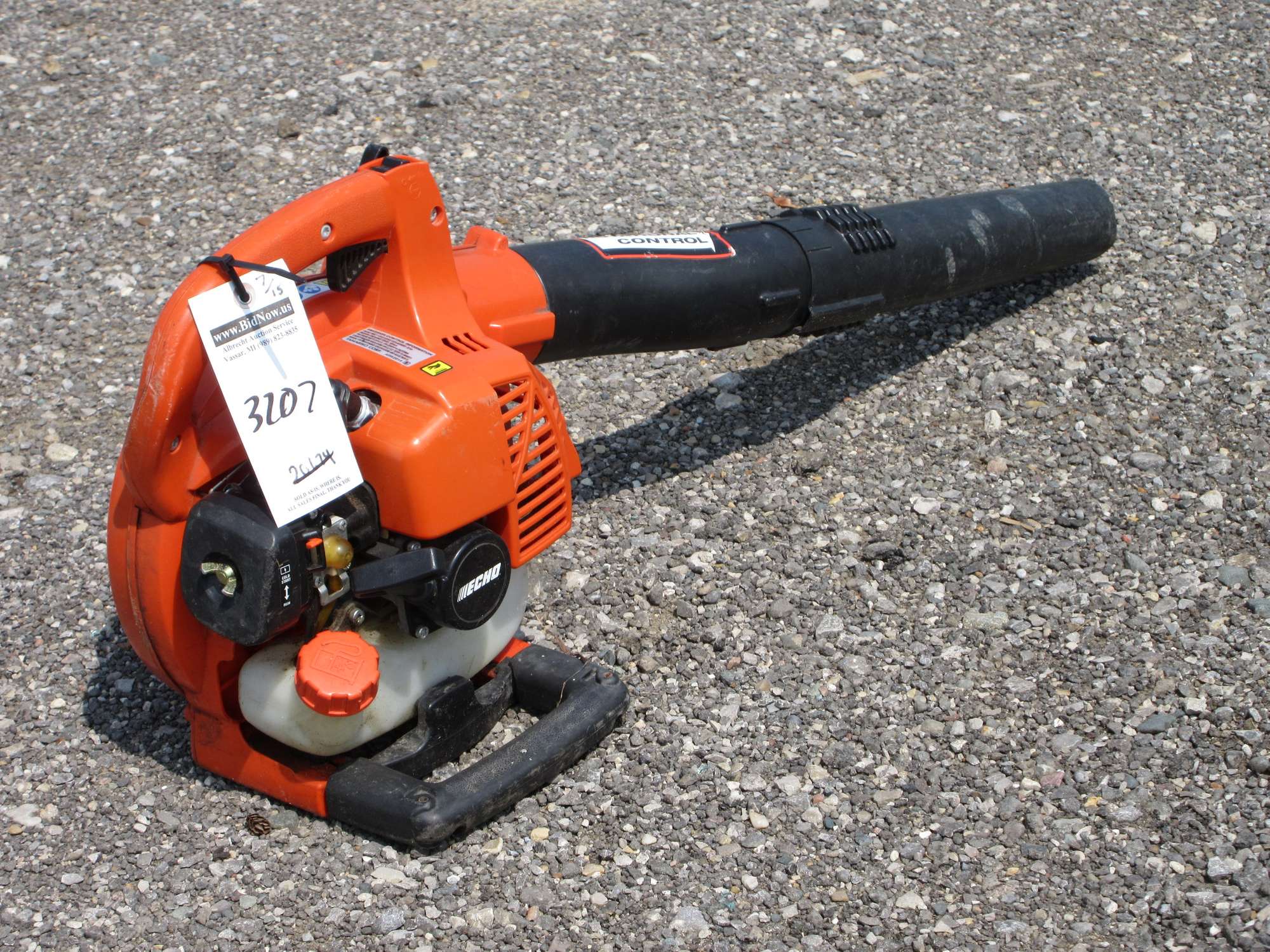 Albrecht Auctions Echo ES250 Leaf Blower