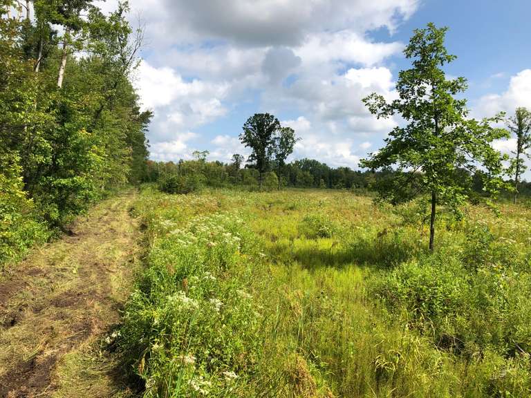 Albrecht Auctions September 25th (Wednesday) Real Estate Hunting Land