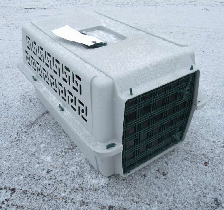 Albrecht Auctions Pet Carrier