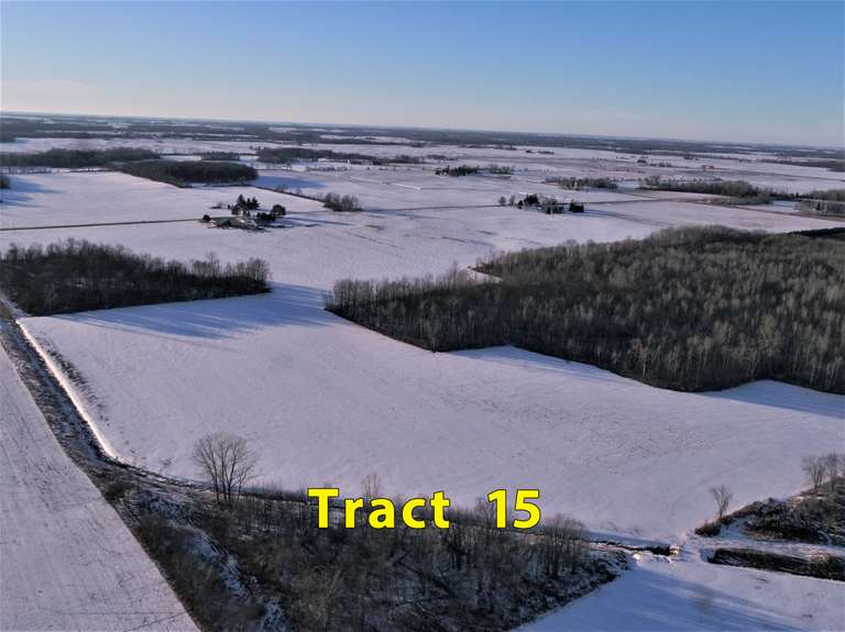 Albrecht Auctions March 9th (Tuesday) 1,165 Acres in (16) Tracts of