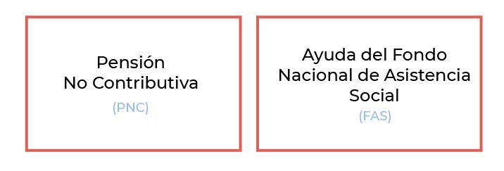 Renta Complementaria de Ingresos por Prestaciones para pacientes