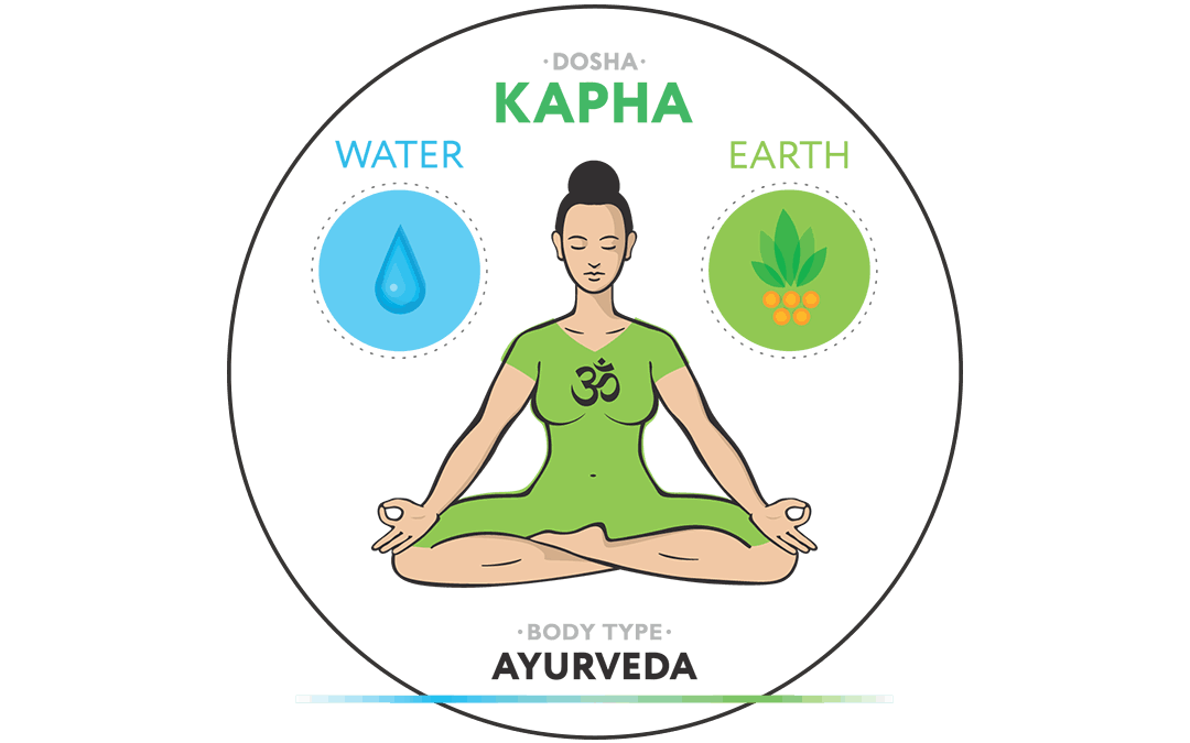 Kapha Dosha Governs Structure & Stability The Supporter