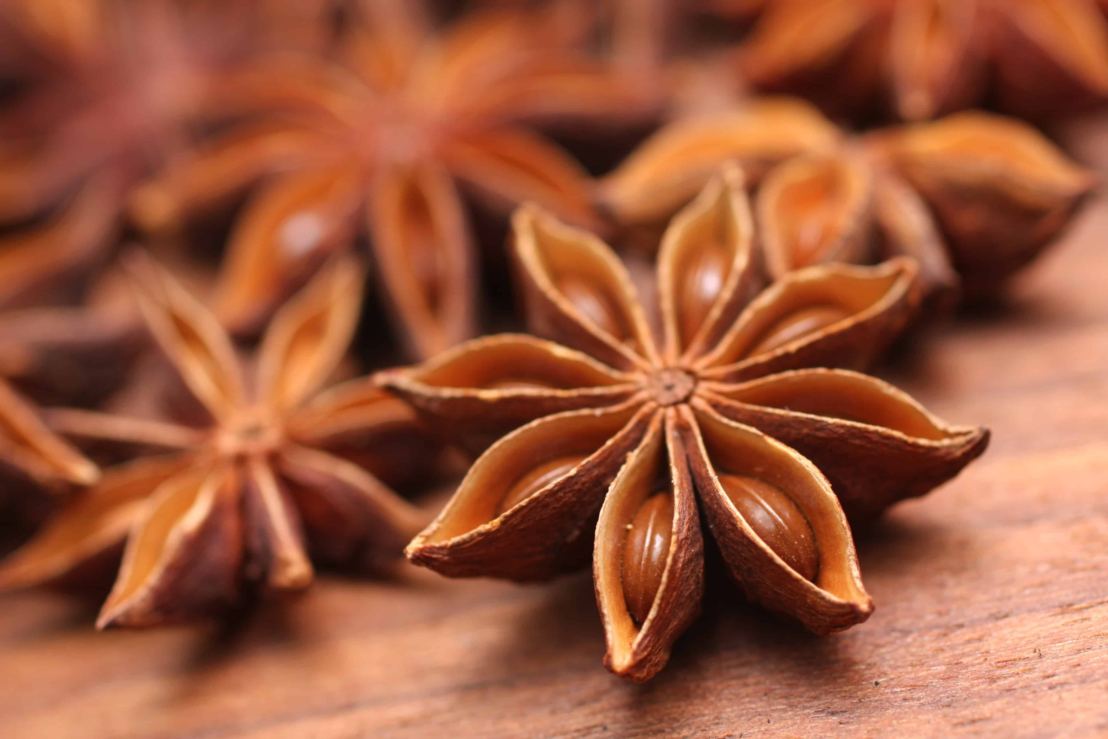 Star Anise Alchemy Ayurveda