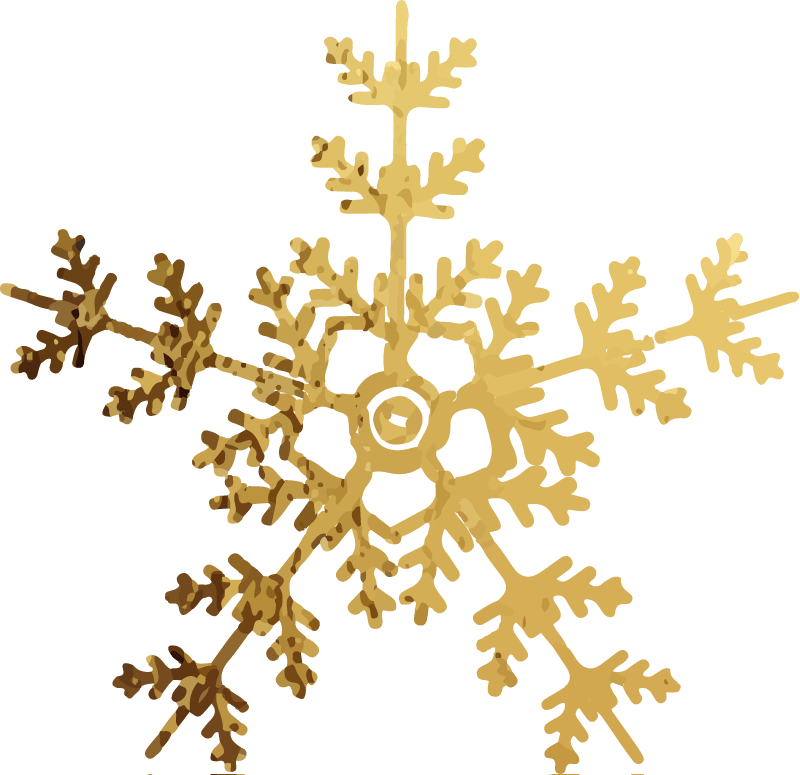 Winter Solstice Celebration Alchemy Yoga