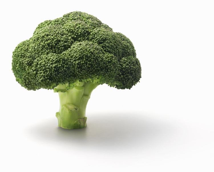 Broccoli Alchetron, The Free Social Encyclopedia