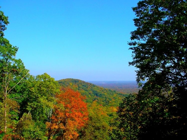 Clark State Forest Alchetron, The Free Social Encyclopedia