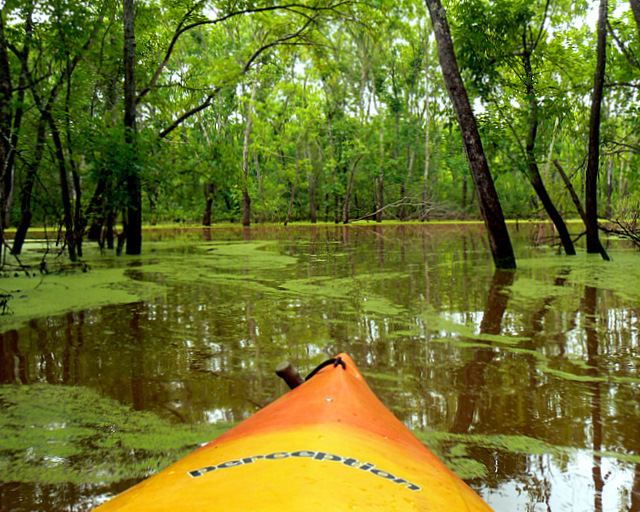 Deep Fork River Alchetron, The Free Social Encyclopedia