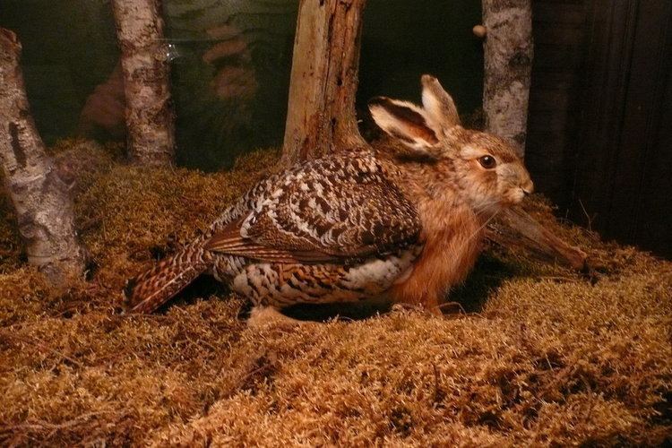 Skvader Alchetron, The Free Social Encyclopedia