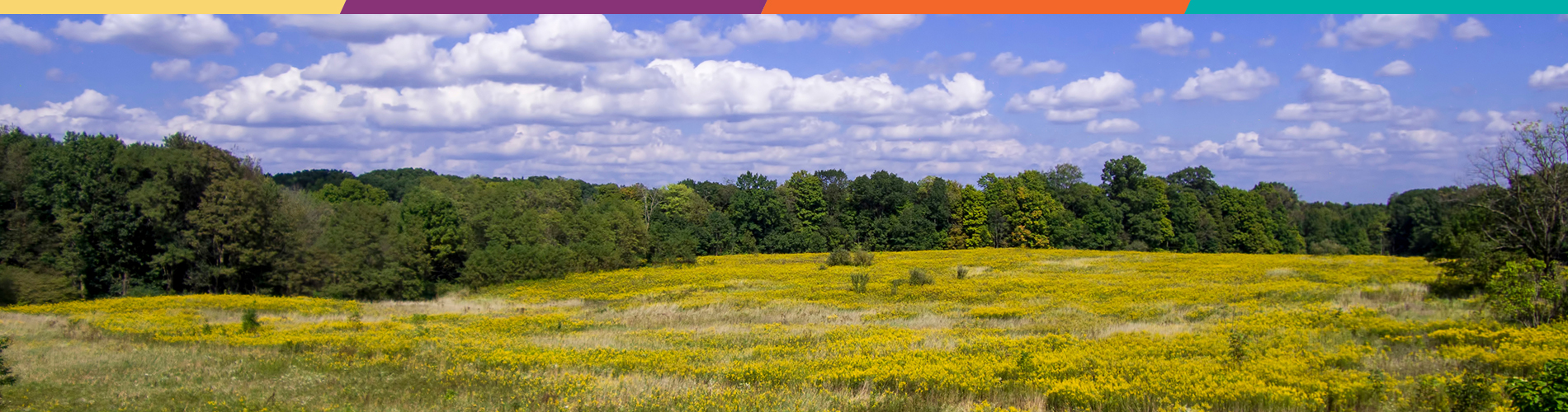 Austintown, OH ALCOVA Mortgage