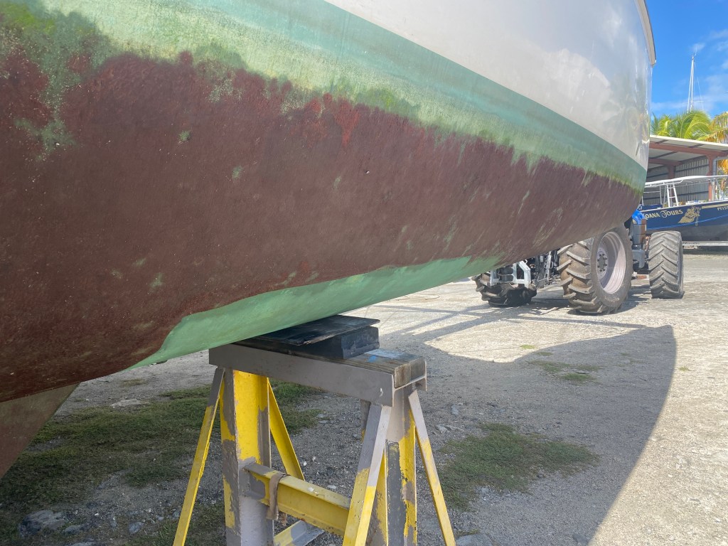 Our Experience with Copper Coat Green Coconut Run