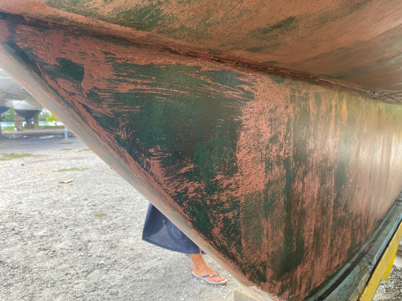Our Experience with Copper Coat Green Coconut Run