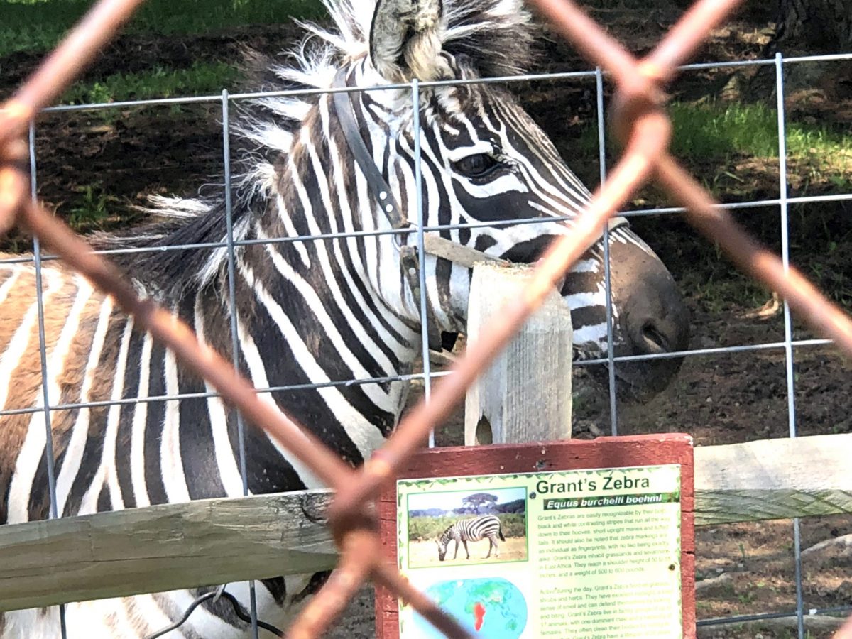 Farmers Inn Roadside Zoo Sued for Mistreatment of Animals Animal