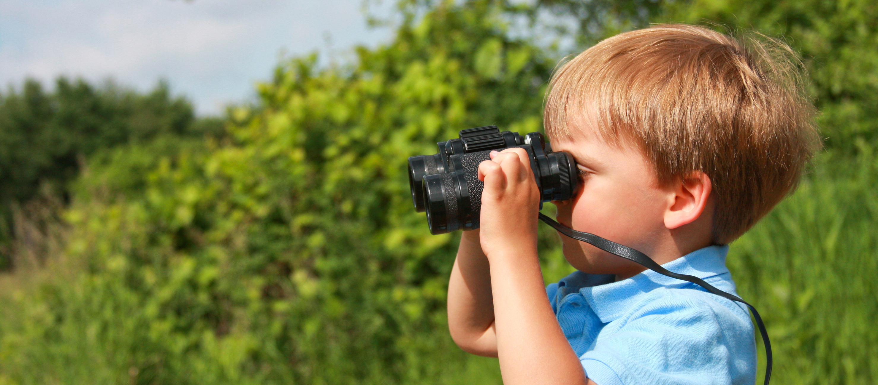 Wonder Bugs Preschool Program Aldo Leopold Nature CenterAldo Leopold