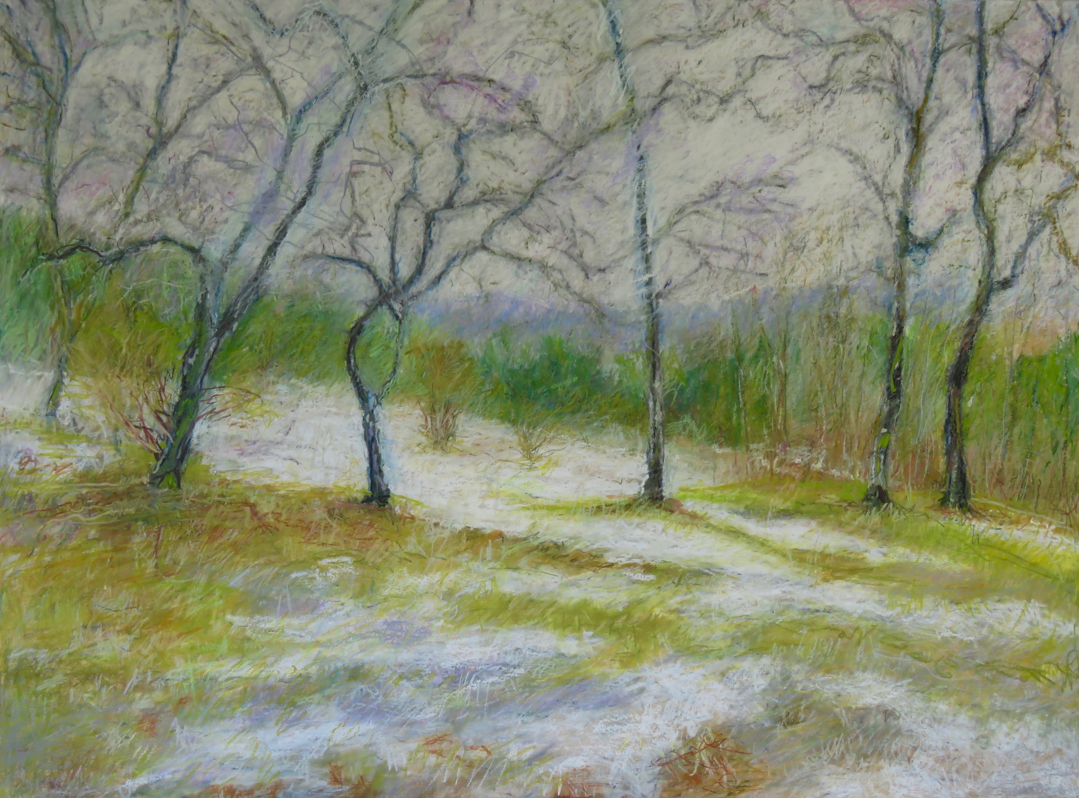 Spring Lawn Aleda O'Connor