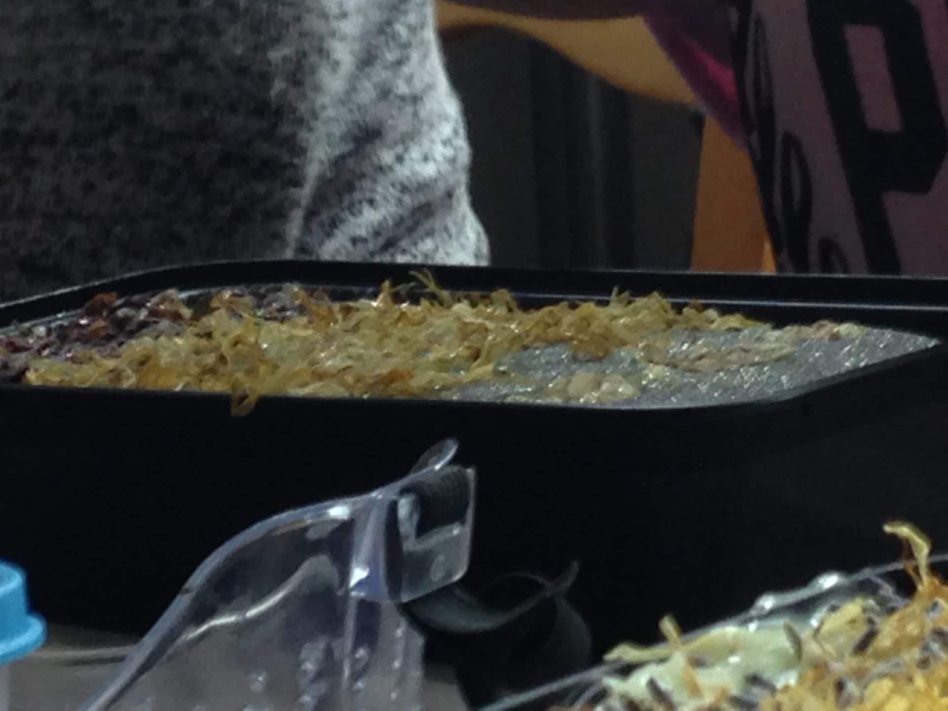 Soap Making Classes Alegna Soap