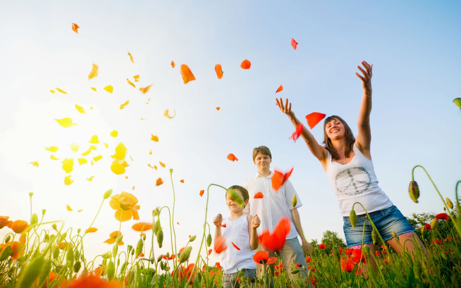 Los colores del vida Colores de la vida