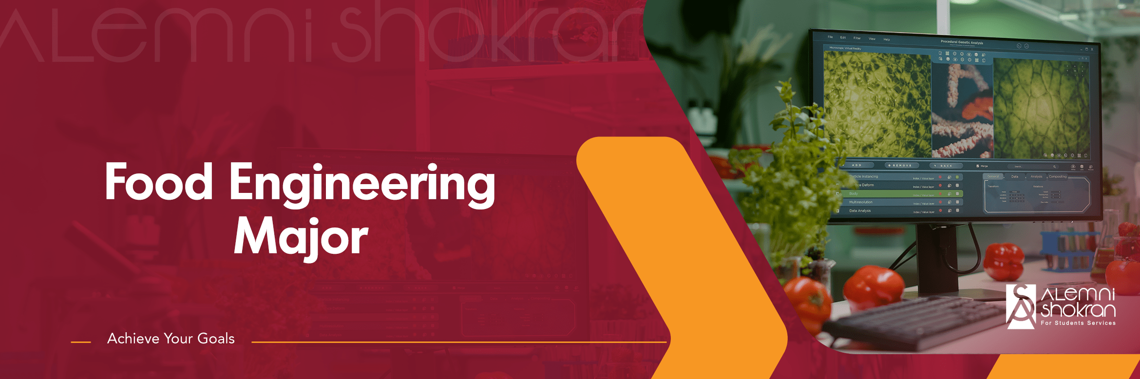 studying Food Engineering in turkish universities