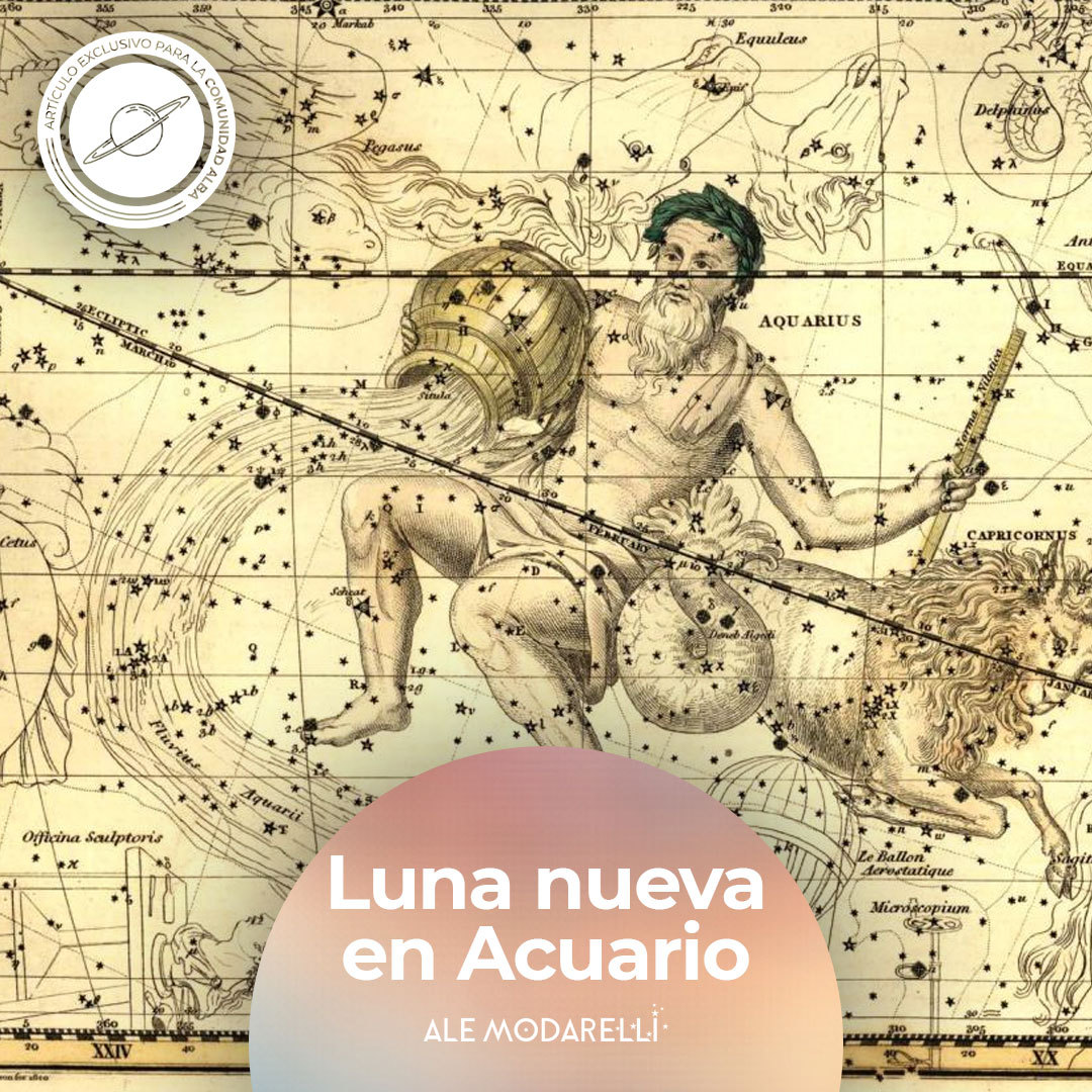 Luna nueva en Acuario Ale Modarelli