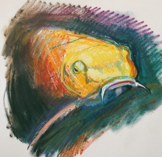 Amazing Crayon Drawing